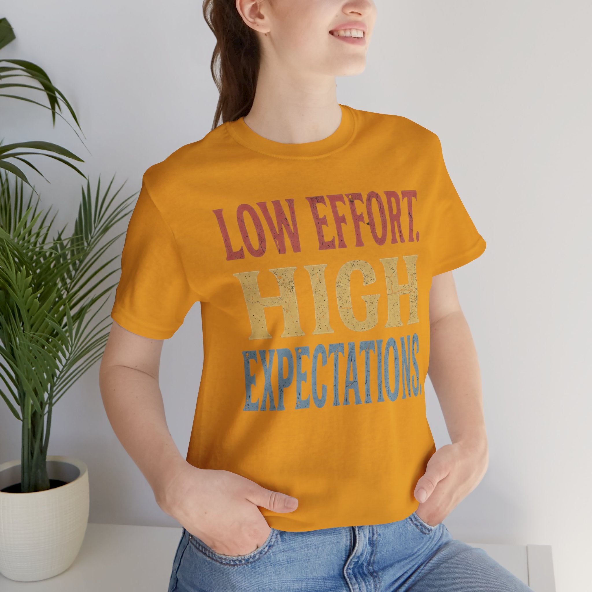 Low Effort, High Expectations Tee — Funny Sarcastic Vintage Distressed T-Shirt