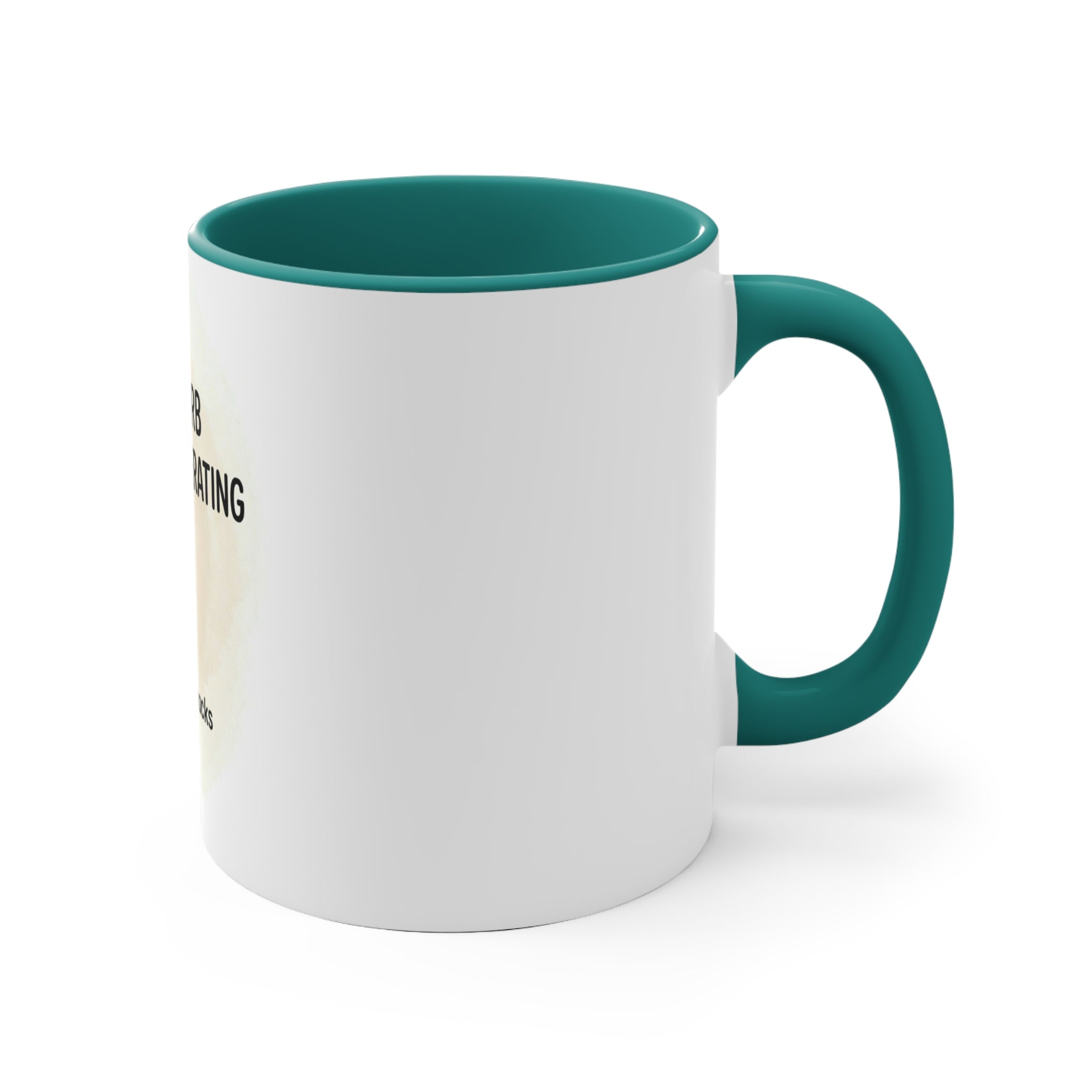 Do not Disturb 11oz Accent Mug