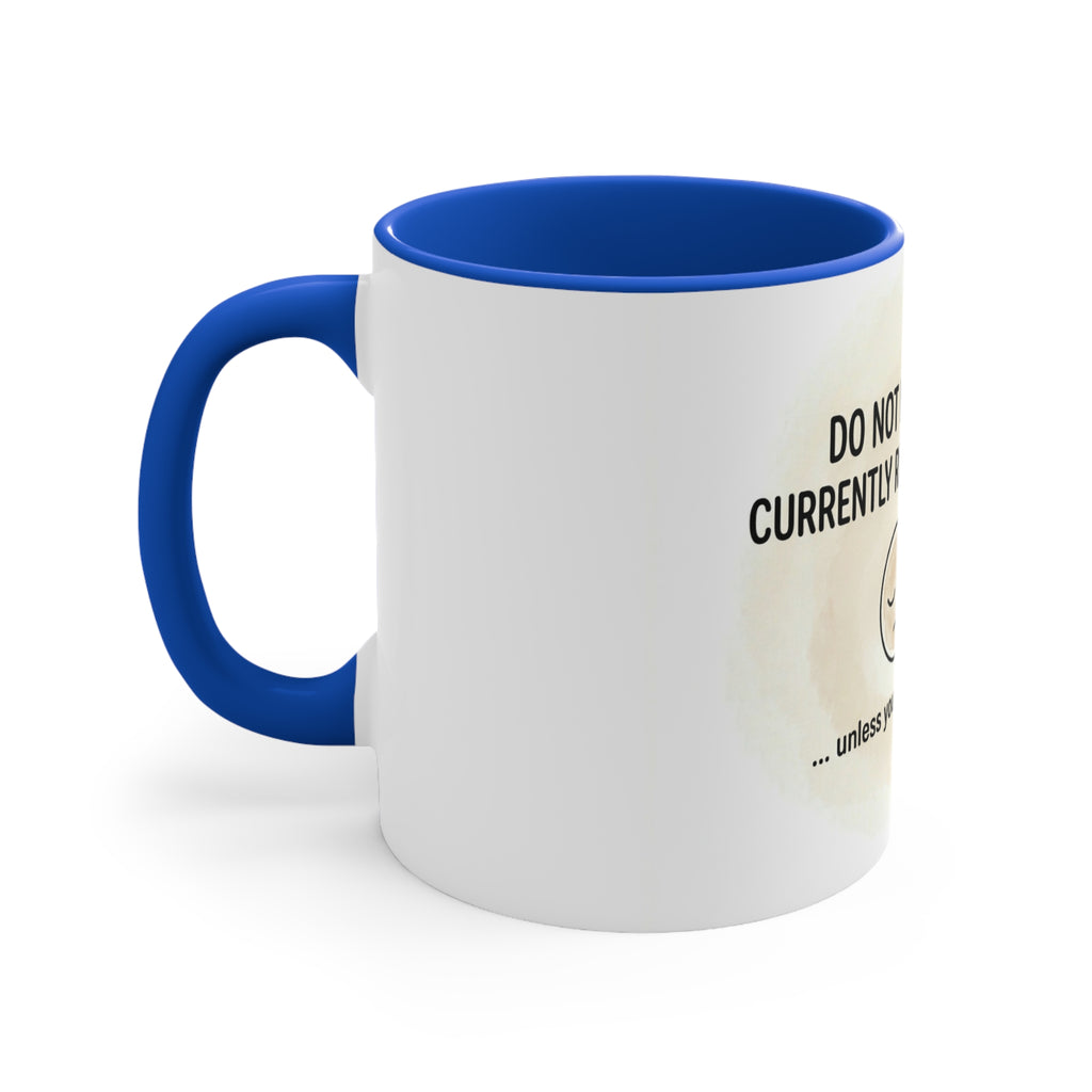 Do not Disturb 11oz Accent Mug