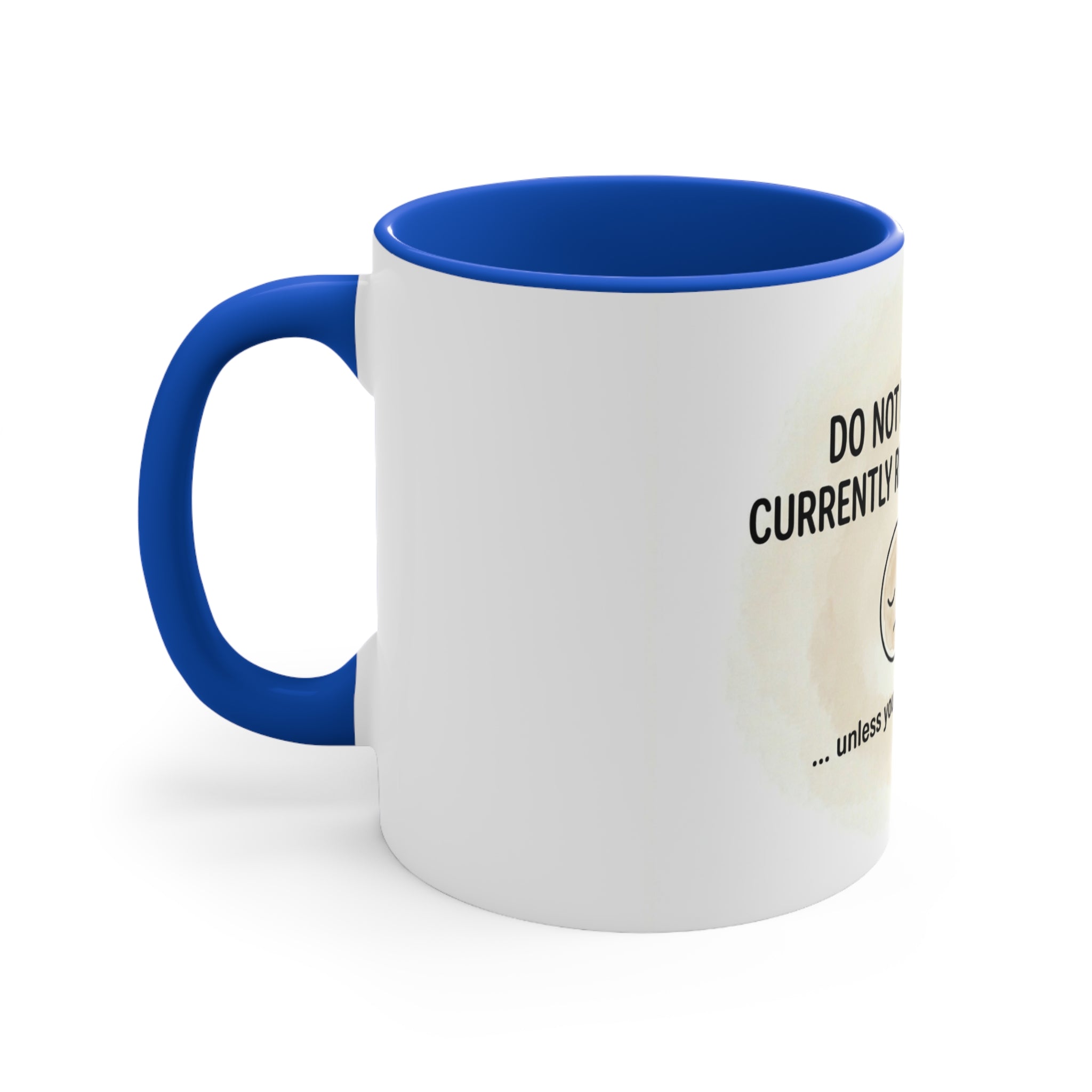 Do not Disturb 11oz Accent Mug