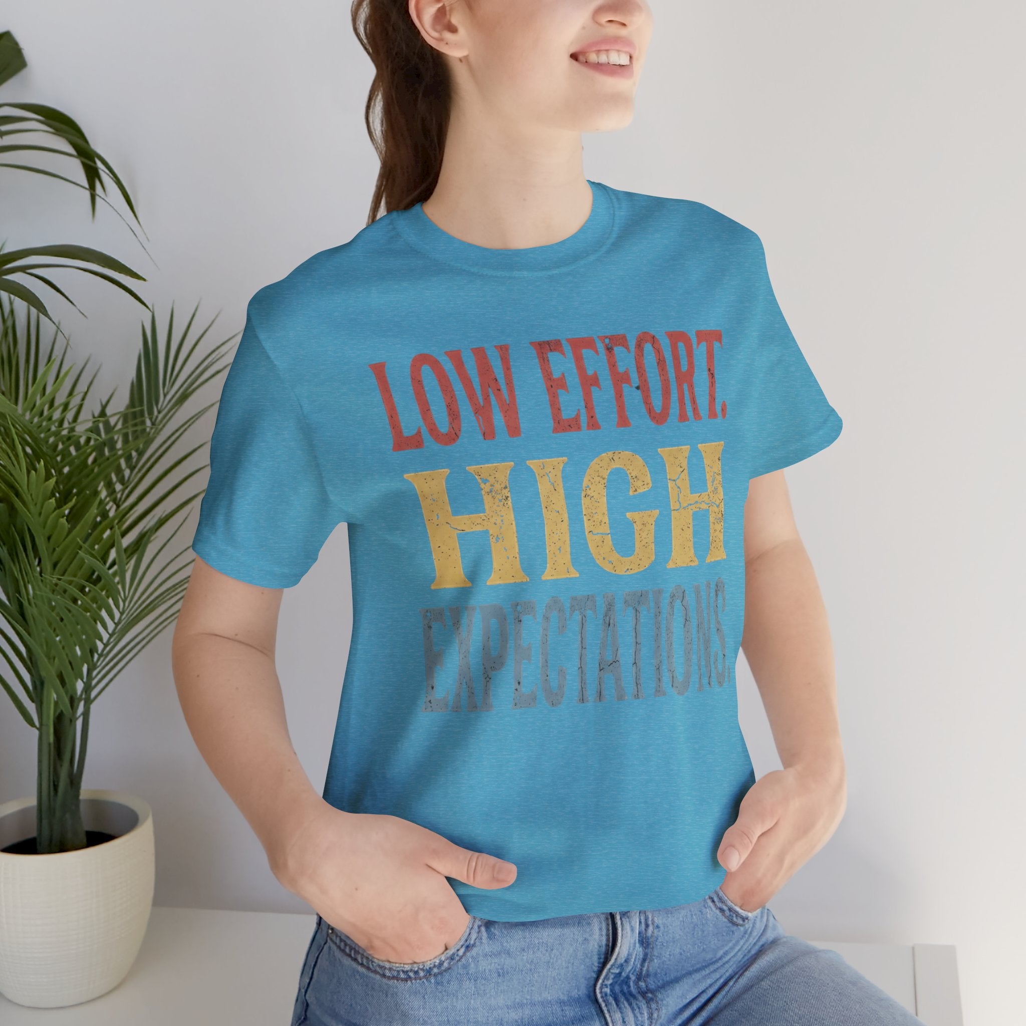 Low Effort, High Expectations Tee — Funny Sarcastic Vintage Distressed T-Shirt
