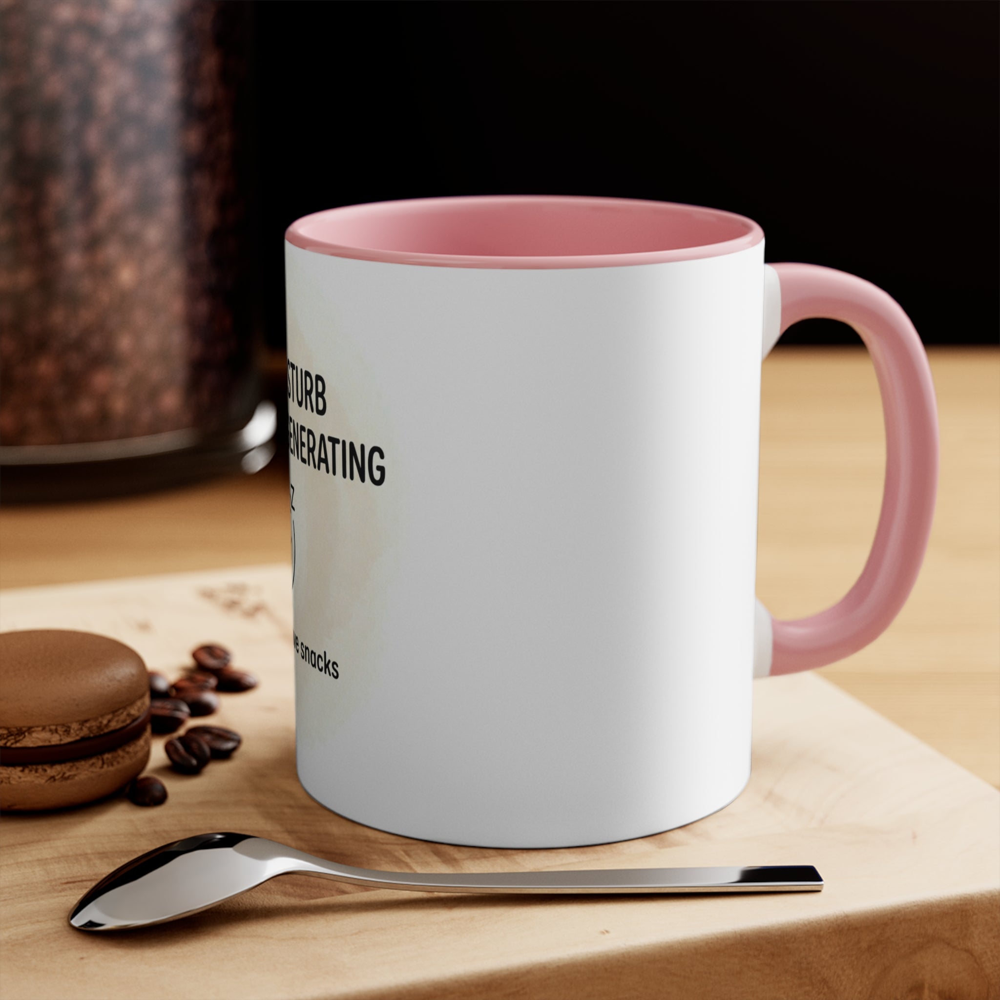 Do not Disturb 11oz Accent Mug